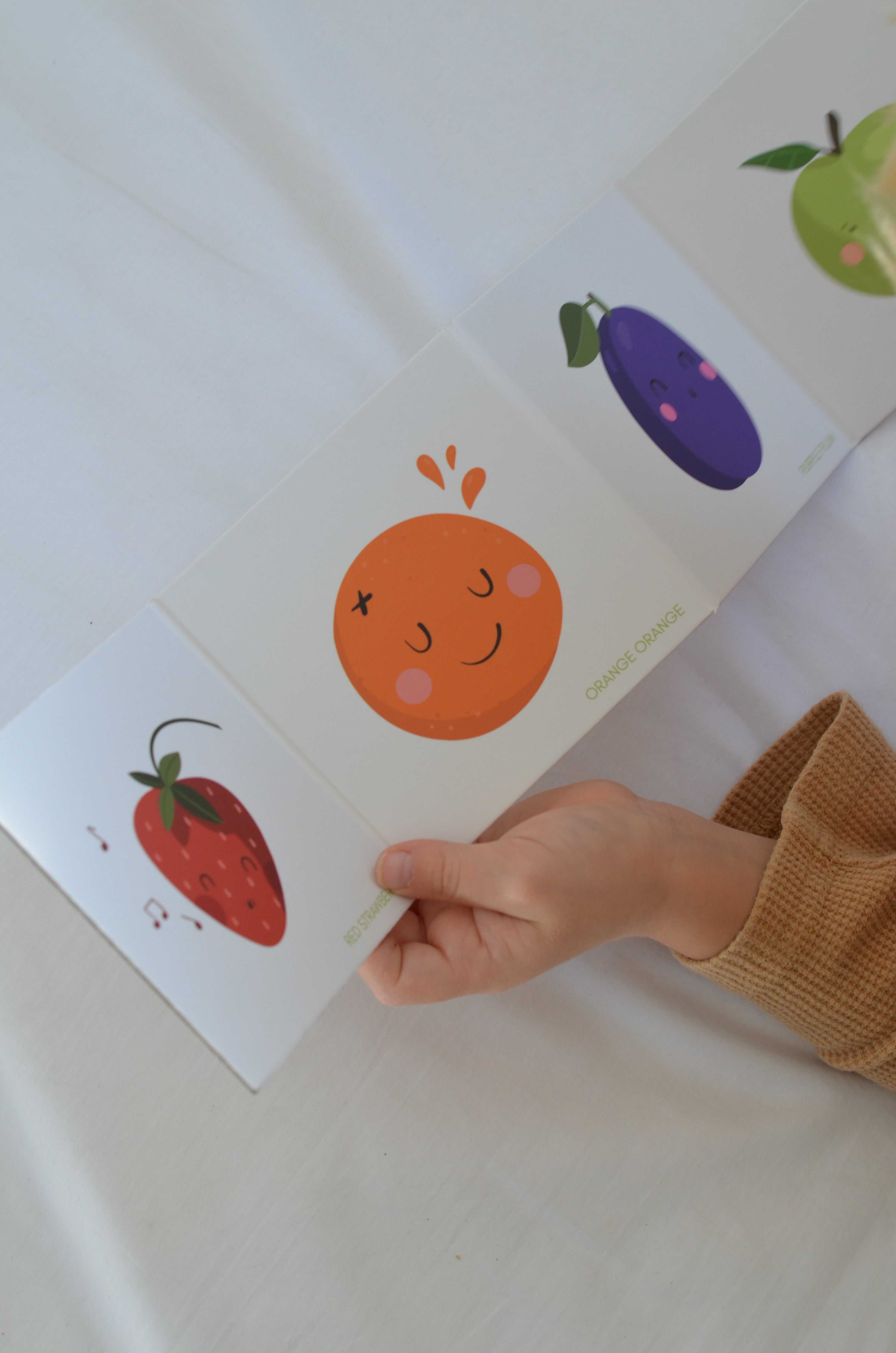 Leporelo Sadje in Barve