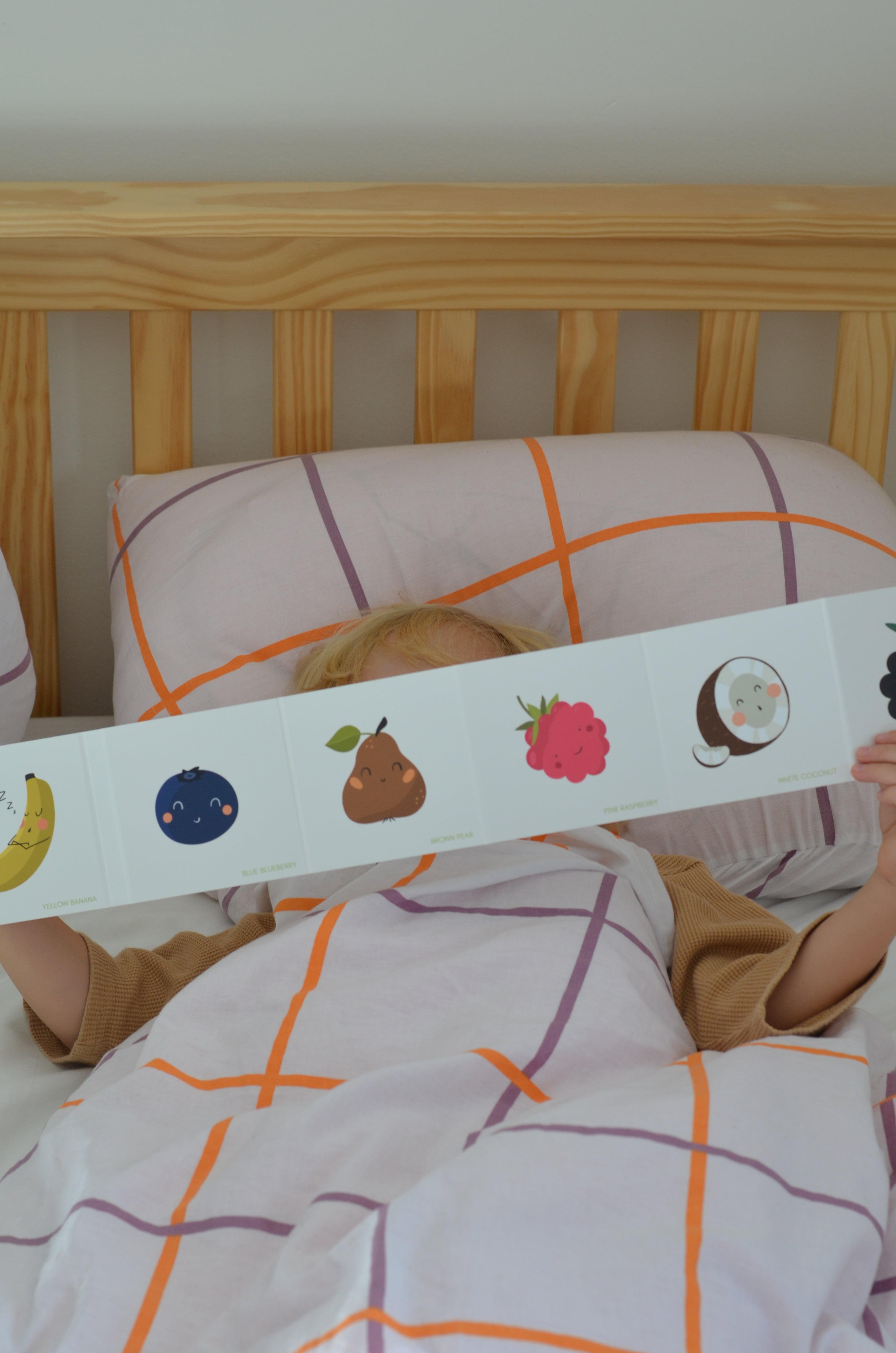 Leporelo Sadje in Barve